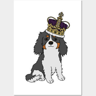 Cute cavalier king charles spaniel wearing a crown Posters and Art